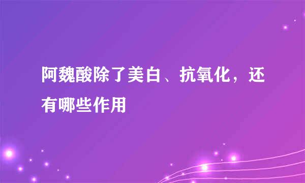 阿魏酸除了美白、抗氧化，还有哪些作用