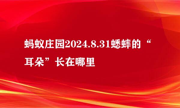 蚂蚁庄园2024.8.31蟋蟀的“耳朵”长在哪里