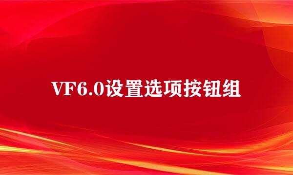 VF6.0设置选项按钮组