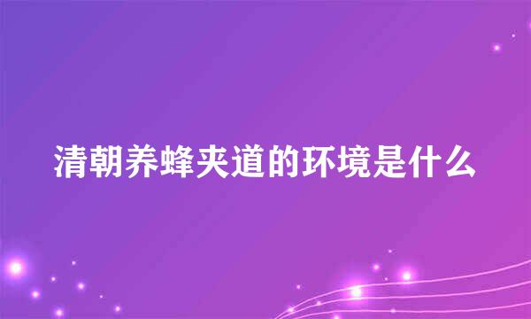 清朝养蜂夹道的环境是什么