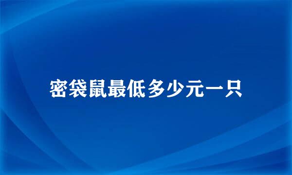 密袋鼠最低多少元一只