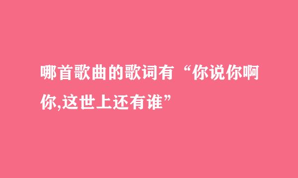 哪首歌曲的歌词有“你说你啊你,这世上还有谁”