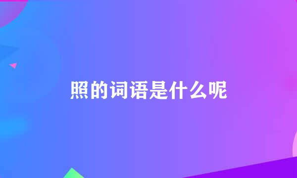 照的词语是什么呢