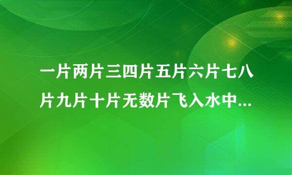 一片两片三四片五片六片七八片九片十片无数片飞入水中都不见猜谜底