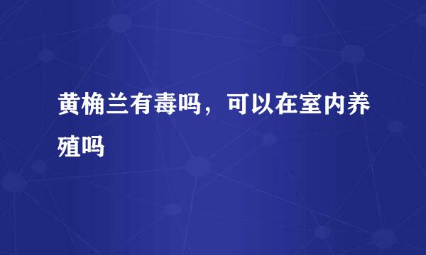 黄桷兰有毒吗，可以在室内养殖吗