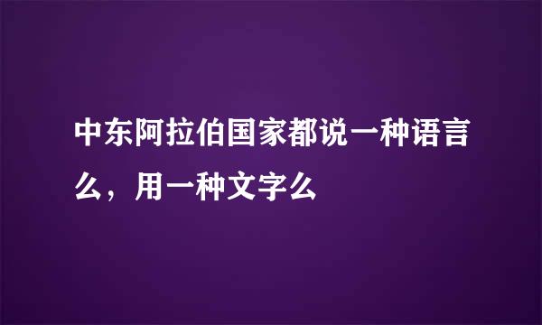 中东阿拉伯国家都说一种语言么，用一种文字么