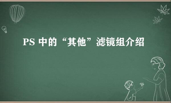 PS 中的“其他”滤镜组介绍