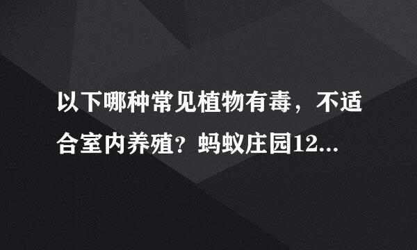 以下哪种常见植物有毒，不适合室内养殖？蚂蚁庄园12.2日答案