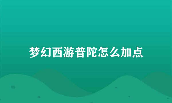 梦幻西游普陀怎么加点