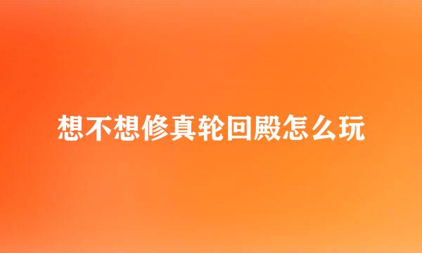 想不想修真轮回殿怎么玩