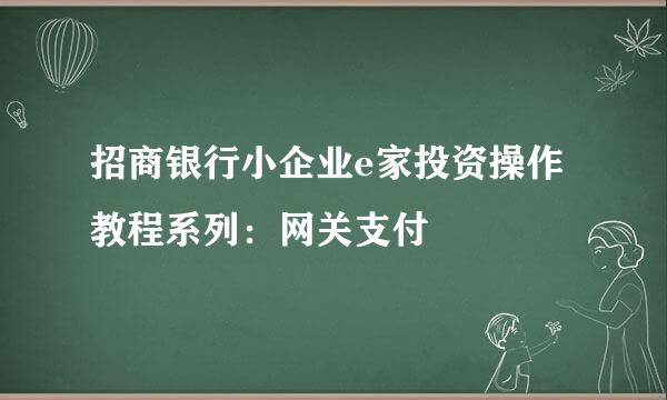 招商银行小企业e家投资操作教程系列：网关支付