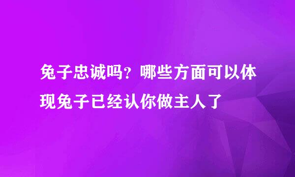 兔子忠诚吗？哪些方面可以体现兔子已经认你做主人了