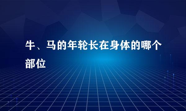 牛、马的年轮长在身体的哪个部位