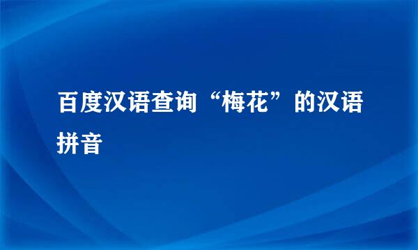 百度汉语查询“梅花”的汉语拼音