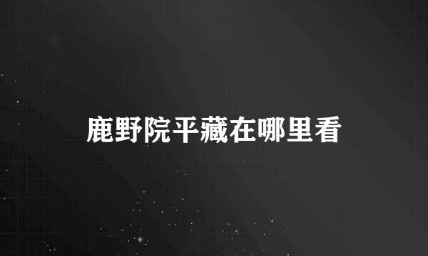 鹿野院平藏在哪里看