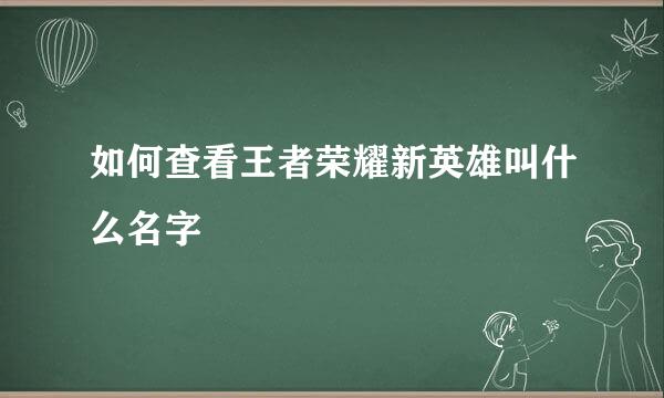 如何查看王者荣耀新英雄叫什么名字