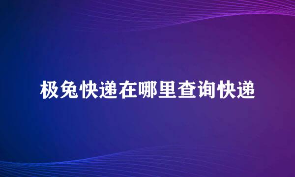 极兔快递在哪里查询快递