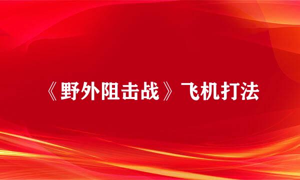 《野外阻击战》飞机打法