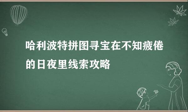 哈利波特拼图寻宝在不知疲倦的日夜里线索攻略