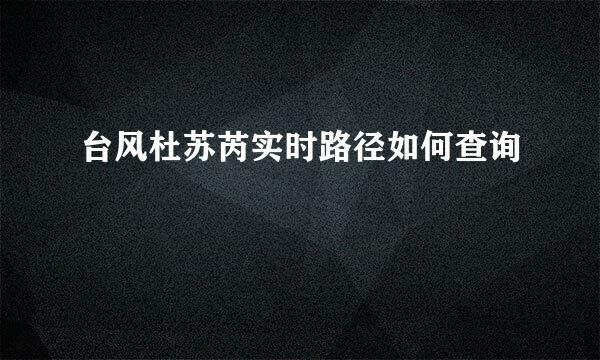 台风杜苏芮实时路径如何查询