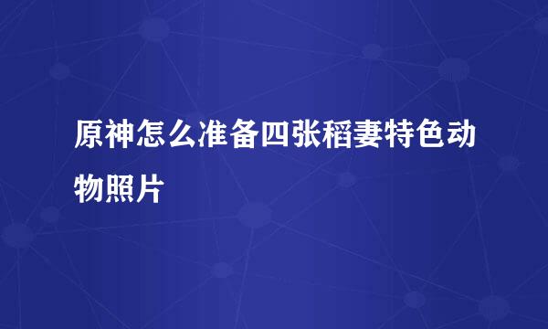 原神怎么准备四张稻妻特色动物照片