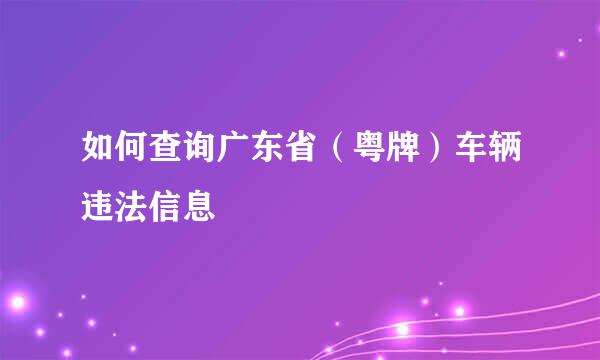 如何查询广东省（粤牌）车辆违法信息