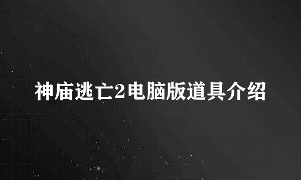 神庙逃亡2电脑版道具介绍