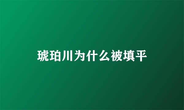 琥珀川为什么被填平