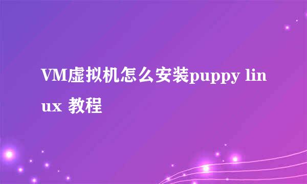 VM虚拟机怎么安装puppy linux 教程