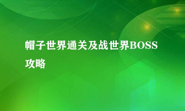 帽子世界通关及战世界BOSS攻略