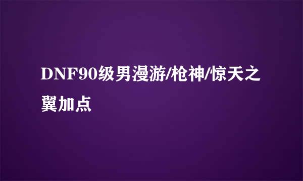 DNF90级男漫游/枪神/惊天之翼加点