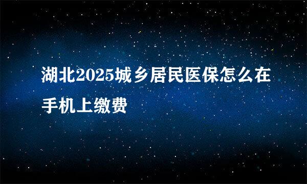 湖北2025城乡居民医保怎么在手机上缴费