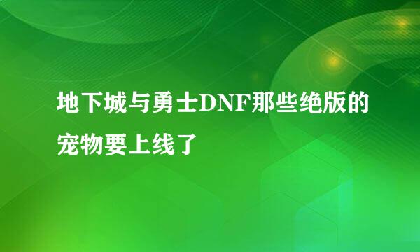 地下城与勇士DNF那些绝版的宠物要上线了