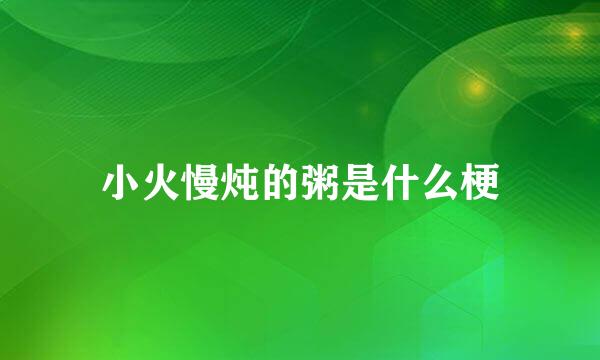 小火慢炖的粥是什么梗