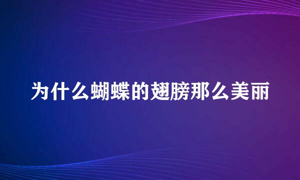 为什么蝴蝶的翅膀那么美丽