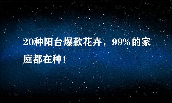 20种阳台爆款花卉，99%的家庭都在种！