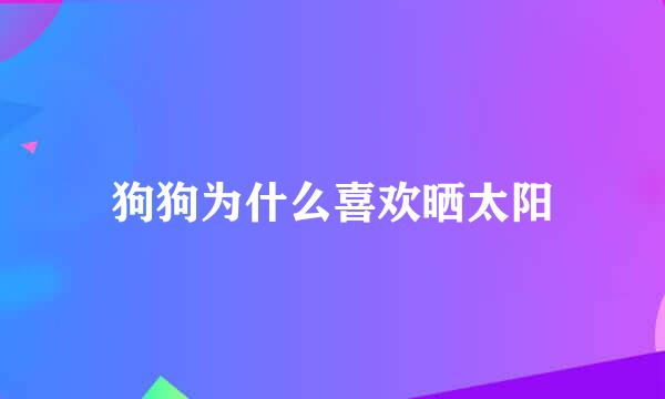 狗狗为什么喜欢晒太阳