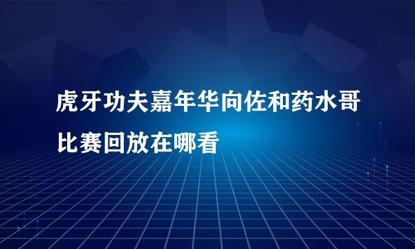 虎牙功夫嘉年华向佐和药水哥比赛回放在哪看