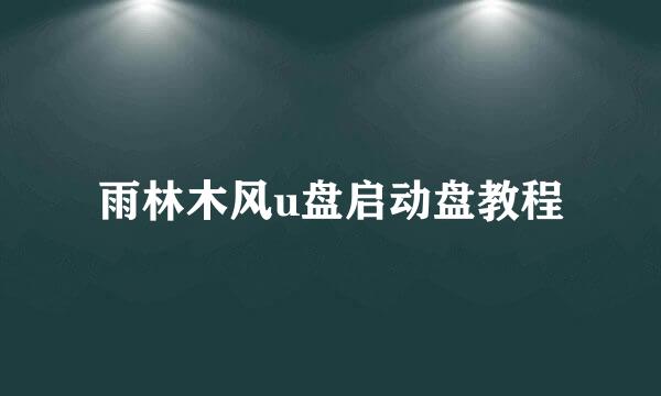 雨林木风u盘启动盘教程