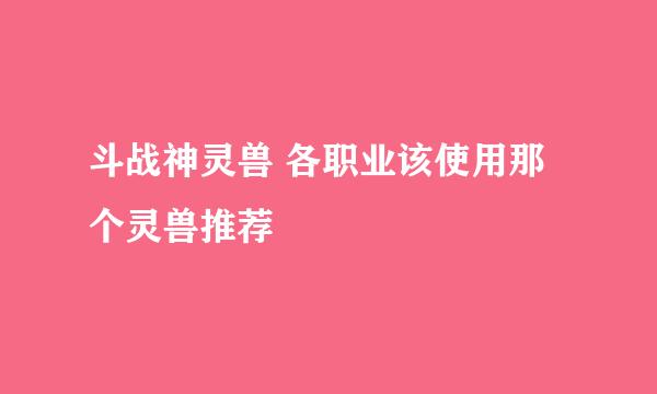 斗战神灵兽 各职业该使用那个灵兽推荐