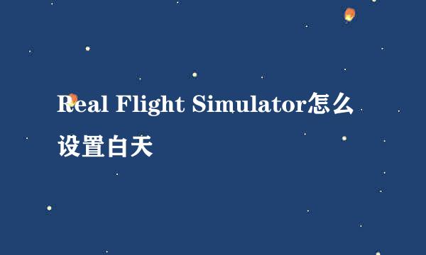 Real Flight Simulator怎么设置白天