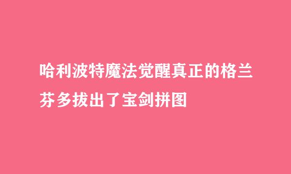 哈利波特魔法觉醒真正的格兰芬多拔出了宝剑拼图