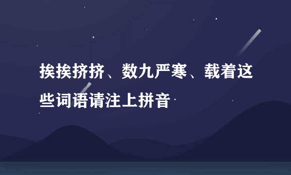 挨挨挤挤、数九严寒、载着这些词语请注上拼音